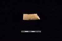 陶片藏品圖，第2張